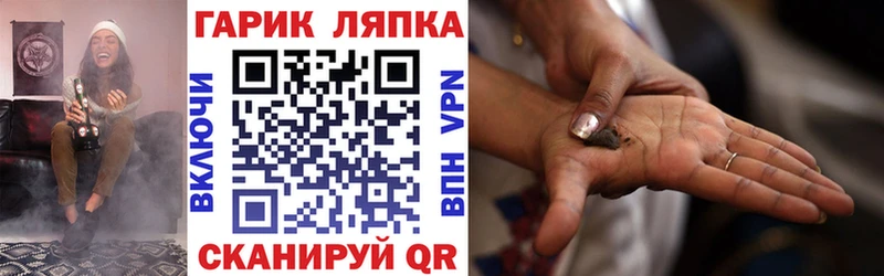 где купить   Бутурлиновка  Гашиш индика сатива 
