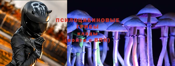 дурь Богородск