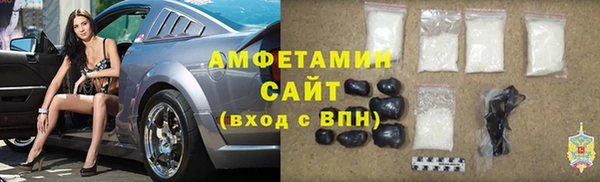 индика Богданович