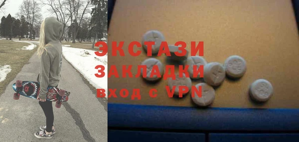 индика Богданович