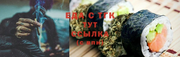 индика Богданович
