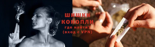 индика Богданович
