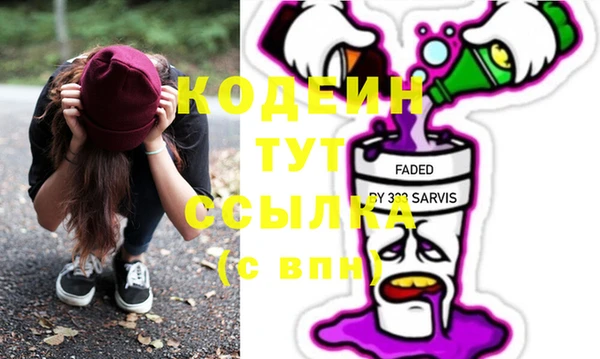 индика Богданович