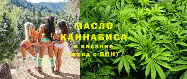 индика Богданович