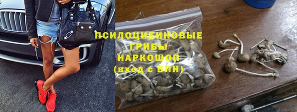 индика Богданович