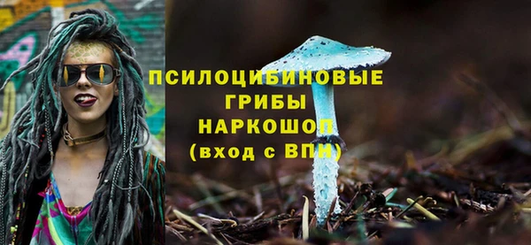 дурь Богородск