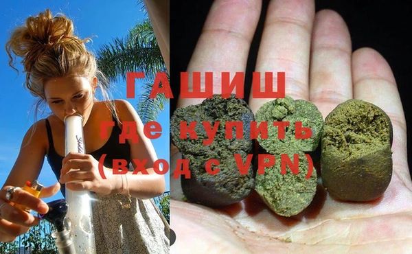 индика Богданович