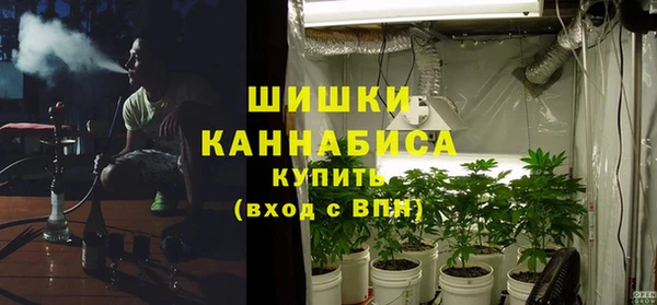 индика Богданович