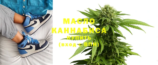 индика Богданович