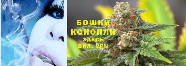 индика Богданович