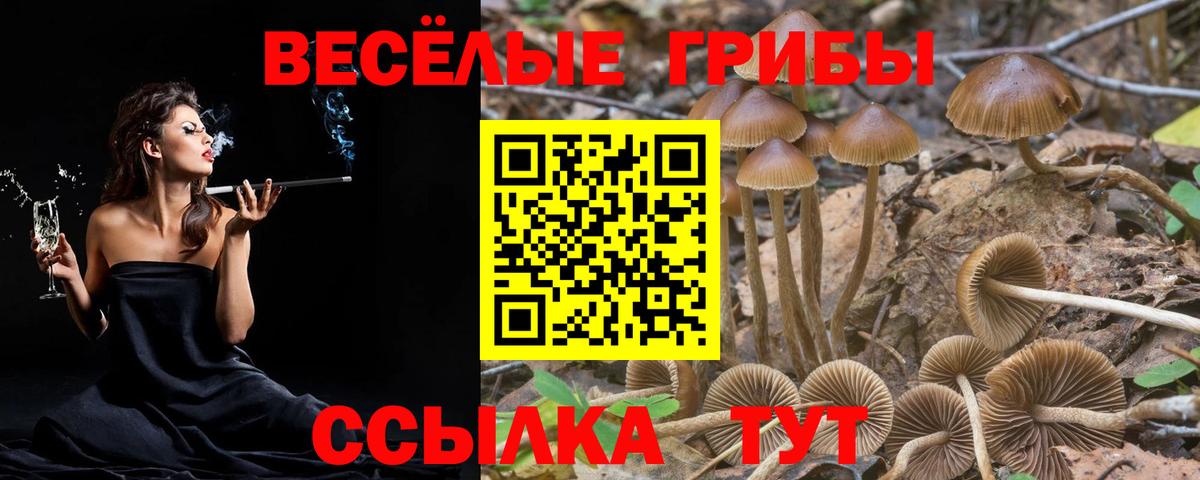 Псилоцибиновые грибы GOLDEN TEACHER Бутурлиновка